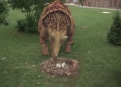 Dino Dan Season 2 Episode 8 Dino Dan Season 2 Episode 8