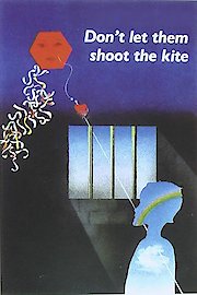 Don't Let Them Shoot the Kite