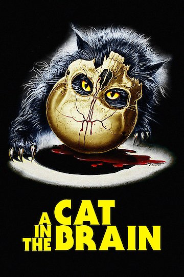 A Cat in the Brain A Cat in the Brain