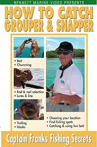 How To Catch Grouper & Snapper