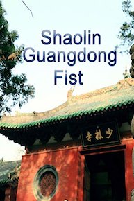 Shaolin Guangdong Fist