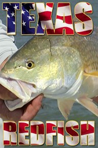 Clip: Texas Redfish