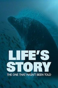 Life's Story