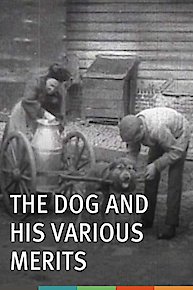 The Dog and His Various Merits