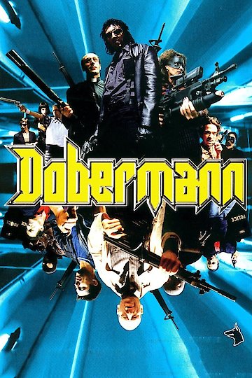 Dobermann Dobermann