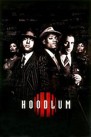Watch Hoodlum Online 1997 Movie Yidio
