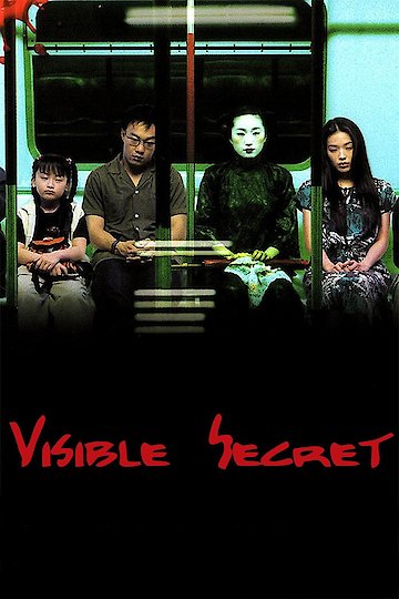 Visible Secret Visible Secret
