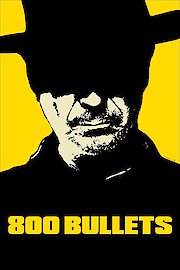 800 Bullets
