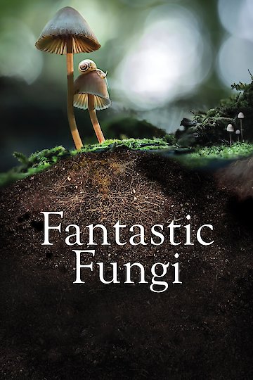 Fantastic Fungi Fantastic Fungi
