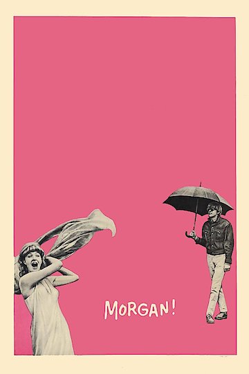 Morgan! Morgan!