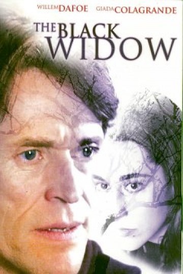 Black Widow Black Widow
