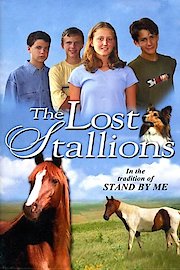 The Lost Stallions