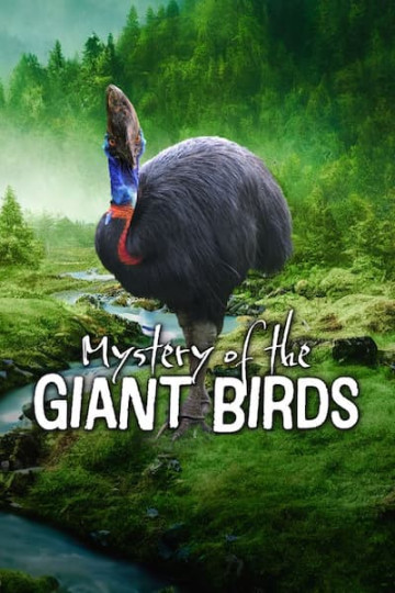 Watch The Mystery of the Giant Birds Online | 2023 Movie | Yidio