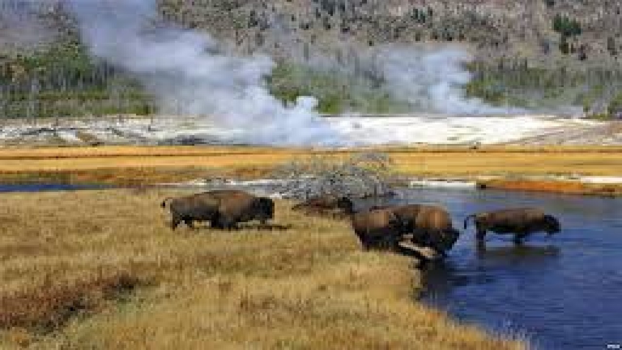 Nature Parks YELLOWSTONE NATIONAL PARK Wyoming