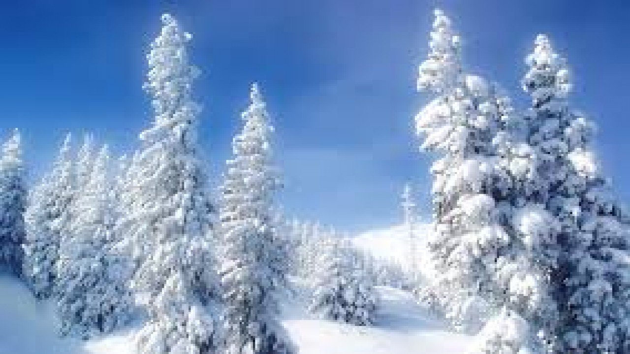 Winter Wonderland - Snowy Background Scenes For Your Television