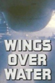 Wings Over Water: A History of Naval Aviation