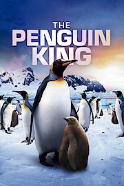 Adventures of the Penguin King 3D