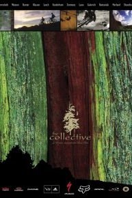 The Collective