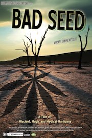 Bad Seed: A Tale of Mischief Magic and Medical Marijuana