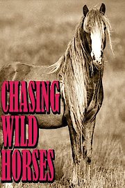 Chasing Wild Horses