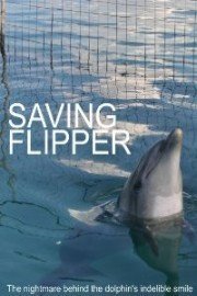 Saving Flipper