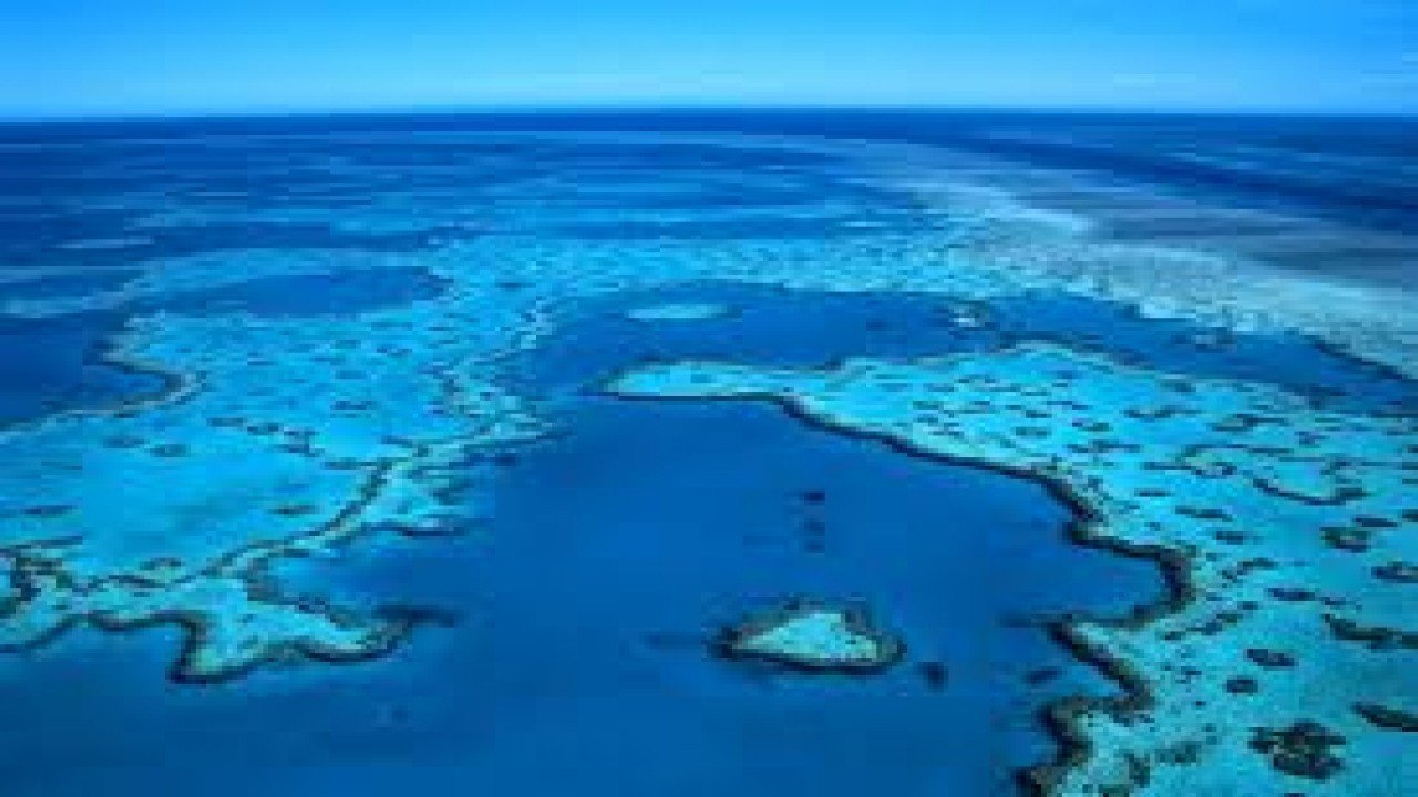 Travel Wild: The Great Barrier Reef