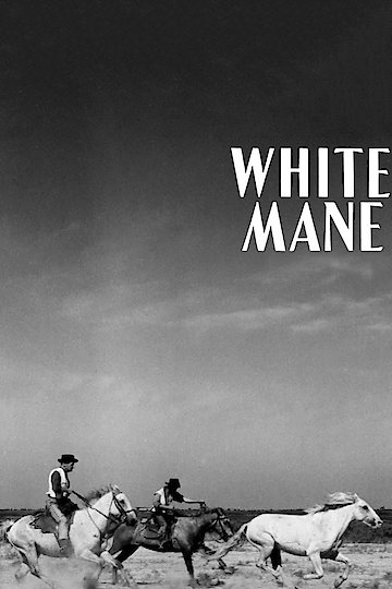 White Mane White Mane