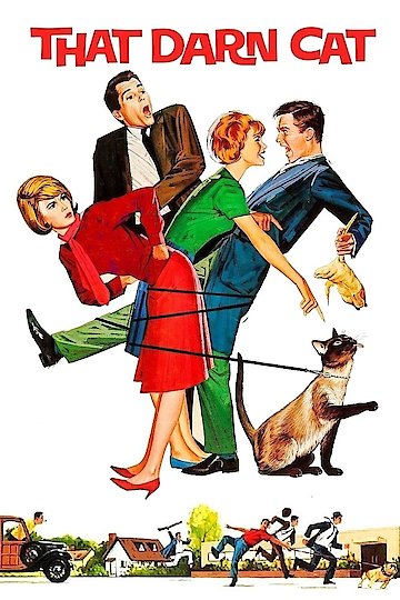 That Darn Cat! That Darn Cat!