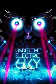 Under the Electric Sky: EDC 2013