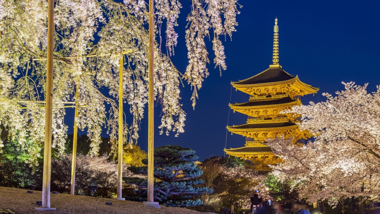The Greatest Journeys on Earth: Japan - Journeys on the Tokaido