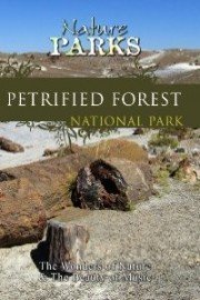 Nature Parks: Petrified Forest
