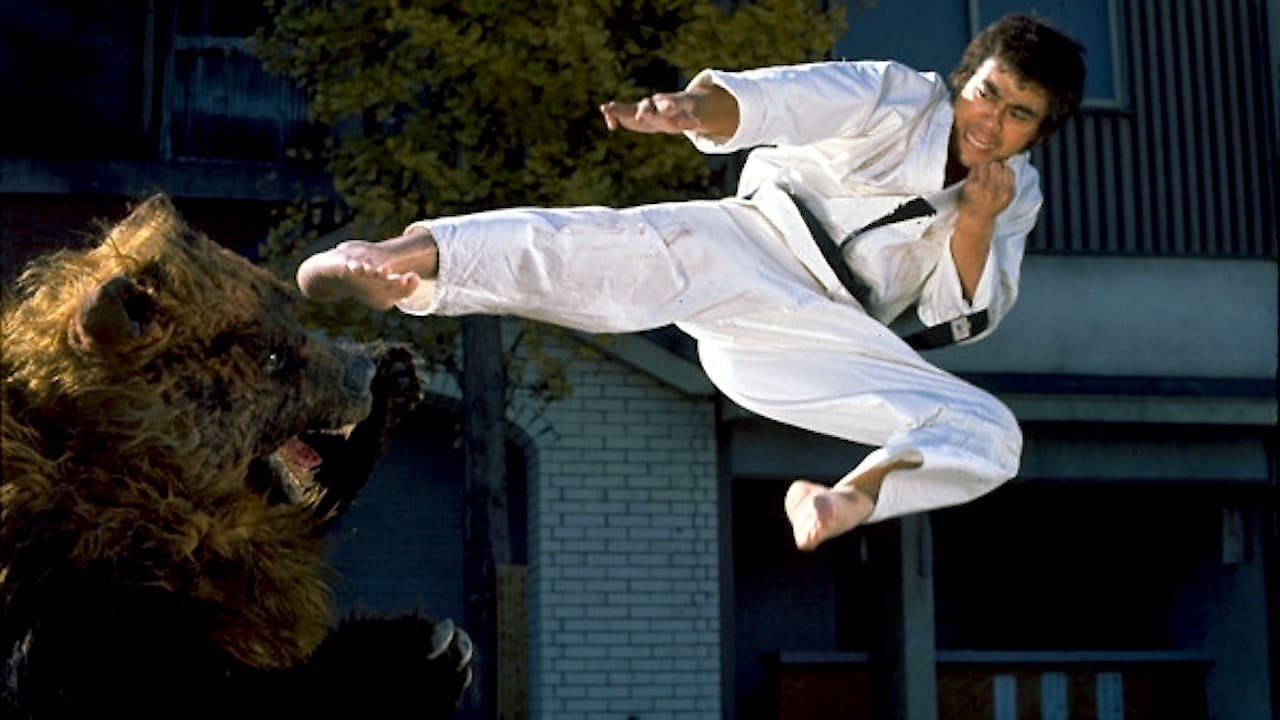Karate Bearfighter
