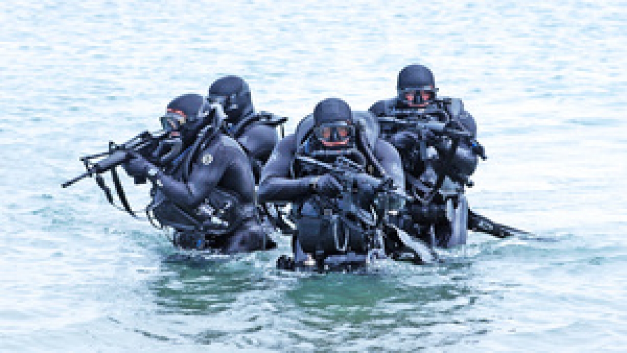 The Navy SEALs: Their Untold Story