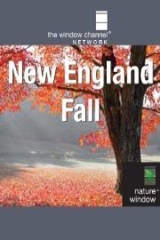 Fall New England