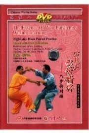 Eight-step Hook Paired Practice