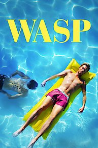 Wasp