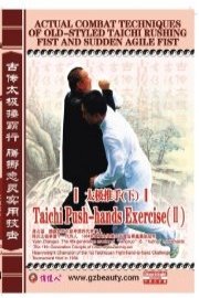 Taichi Push-hands Exercise II