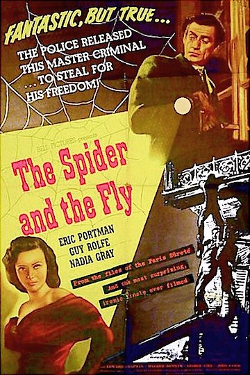 The Spider And The Fly The Spider And The Fly