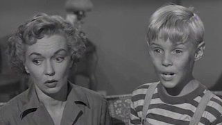 Dennis the Menace Season 1 Episode 8 Dennis the Menace Season 1 Episode 8