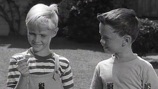 Dennis the Menace Season 1 Episode 9 Dennis the Menace Season 1 Episode 9