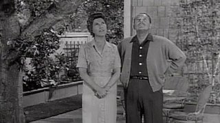 Dennis the Menace Season 4 Episode 35 Dennis the Menace Season 4 Episode 35
