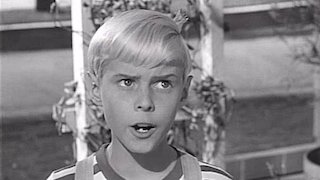 Dennis the Menace Season 2 Episode 35 Dennis the Menace Season 2 Episode 35