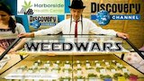 Harborside's Alternative 4/20 Celebration