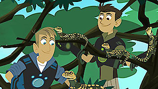 Wild Kratts Season 16 Episode 3 Wild Kratts Season 16 Episode 3