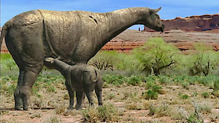 Walking With Beasts Season 1 Episode 3 Walking With Beasts Season 1 Episode 3