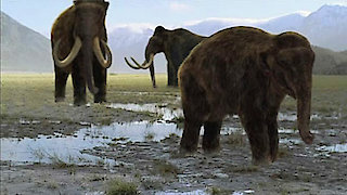Walking With Beasts Season 1 Episode 6 Walking With Beasts Season 1 Episode 6