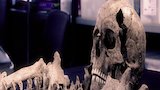 Plague Mummies