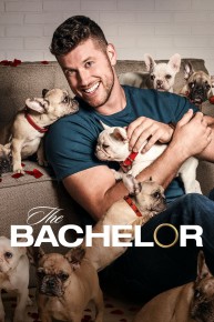 The Bachelor