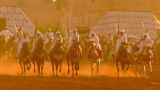 Horses of Morocco