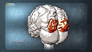 Brain Games Season 7 Episode 1 Brain Games Season 7 Episode 1